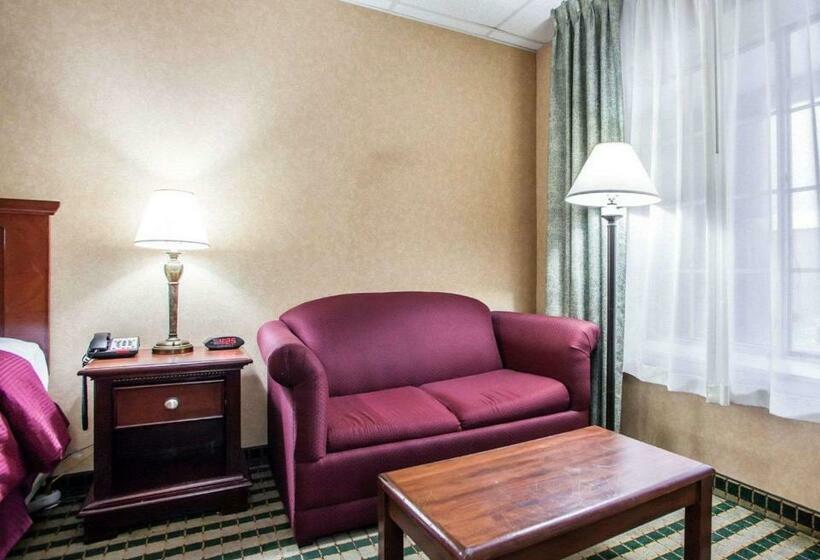 ホテル Clarion  Palmer Inn