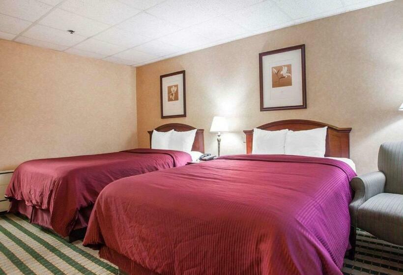 ホテル Clarion  Palmer Inn