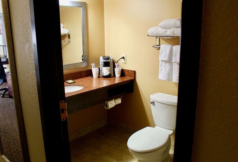 هتل Best Western Plus Dakota Ridge