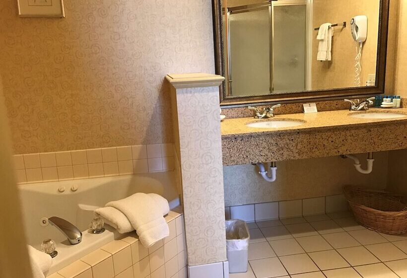 ホテル Best Western Plus Revere Inn & Suites