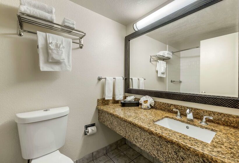 酒店 Best Western Plus South Bay