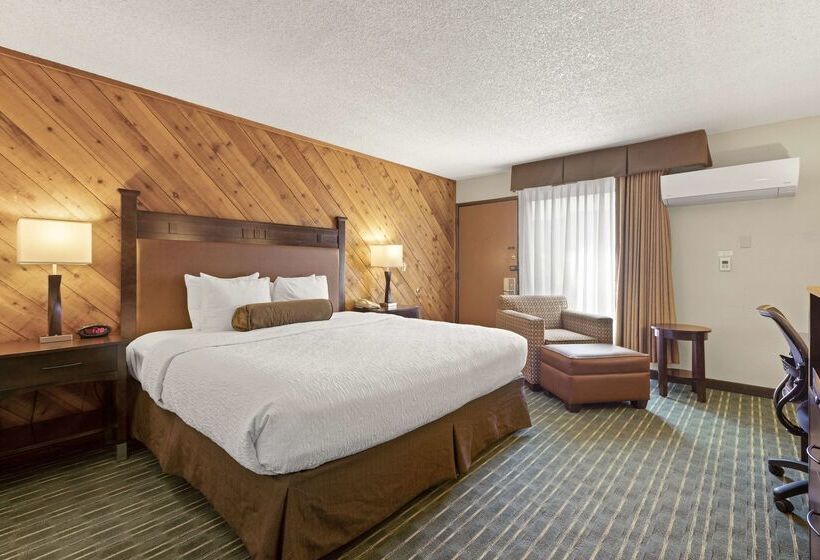 Отель Best Western Plus Tree House