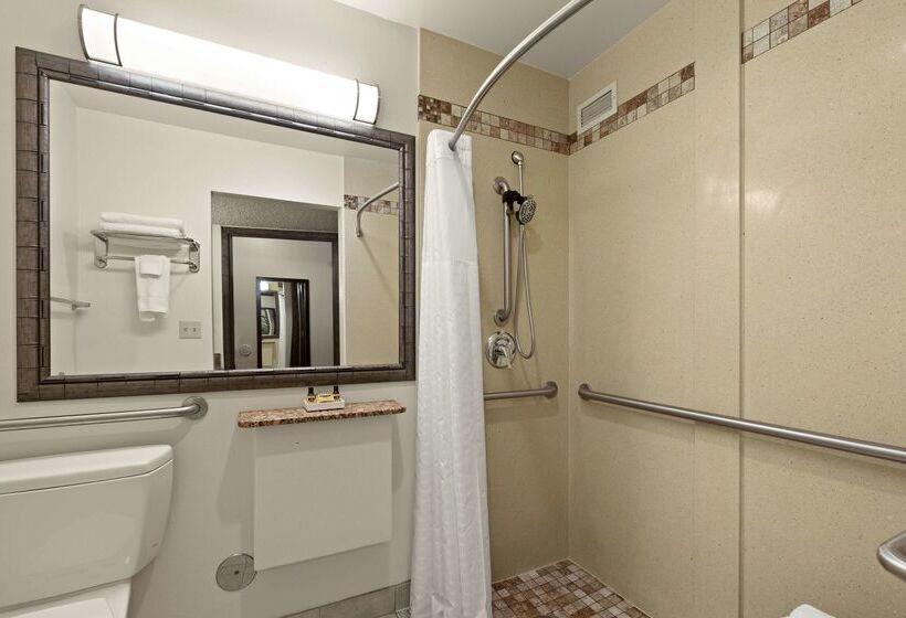 Отель Best Western Plus Tree House