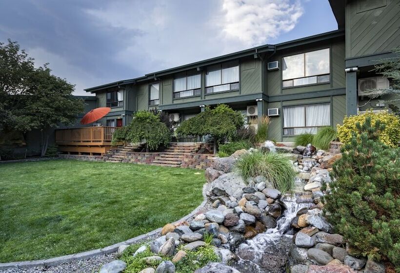 Отель Best Western Plus Tree House
