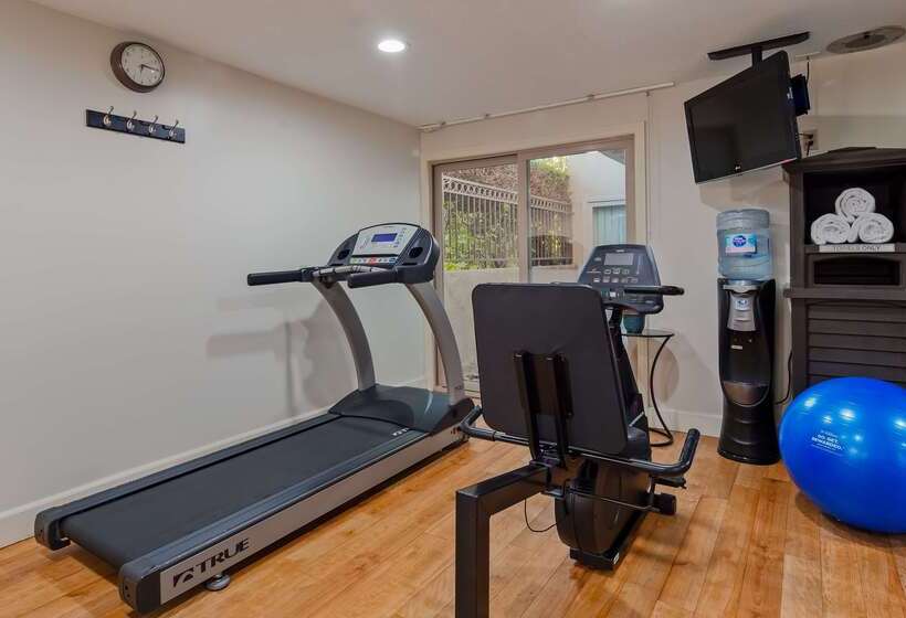 فندق Best Western Royal Palace Inn & Suites