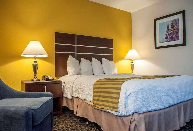 هتل Best Western Village Inn