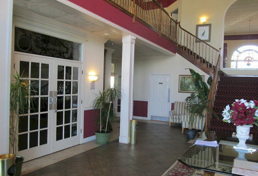 호텔 White Columns Inn