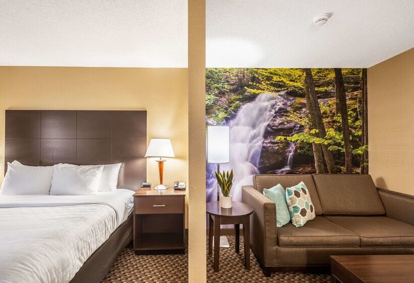 בית מלון כפרי Clarion Pointe Harrisonburg