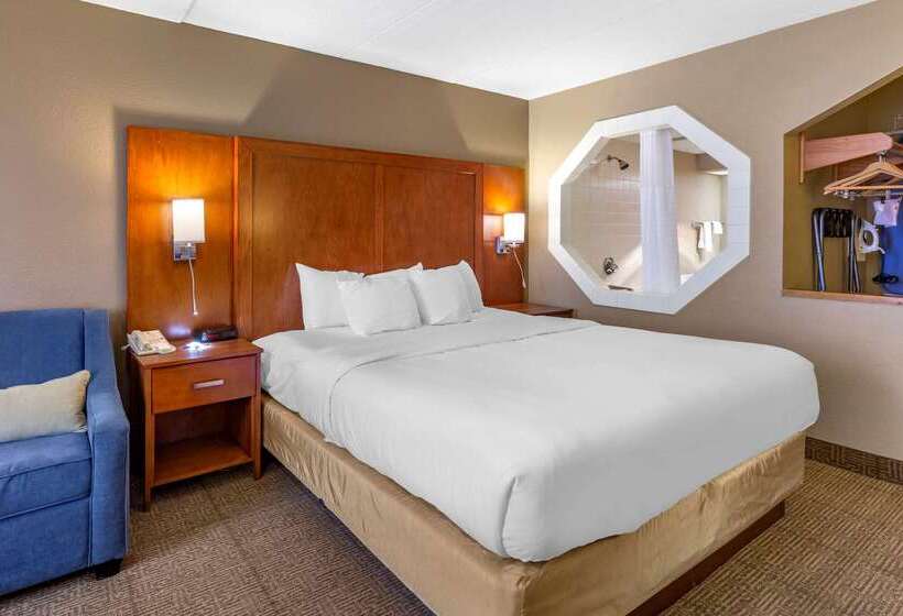 호텔 Comfort Inn
