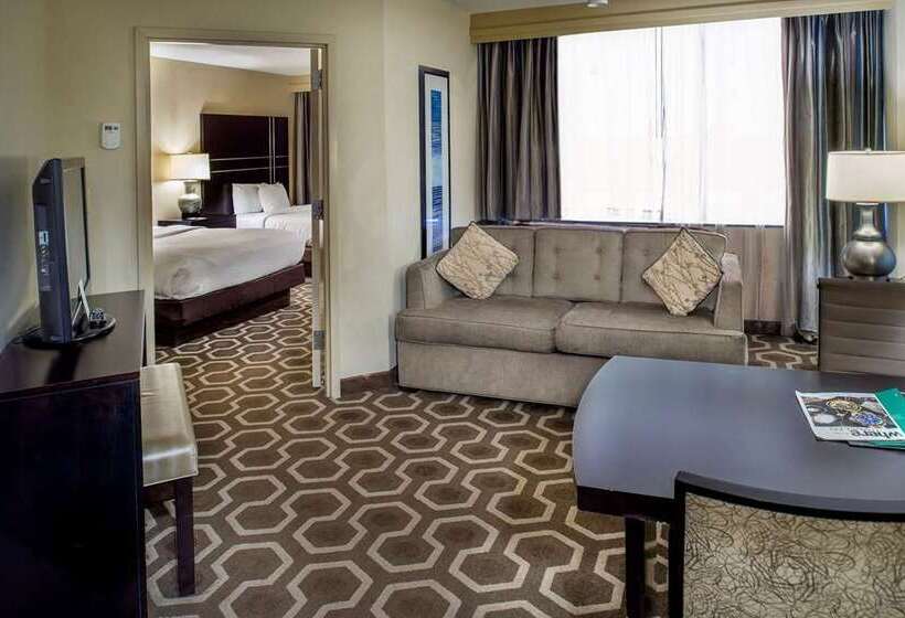 هتل Embassy Suites By Hilton St. Louis Airport