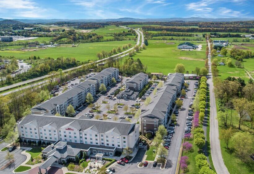فندق Hilton Garden Inn Blacksburg University