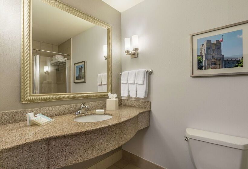 فندق Hilton Garden Inn Blacksburg University