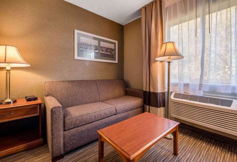 ホテル Quality Inn & Suites New Castle