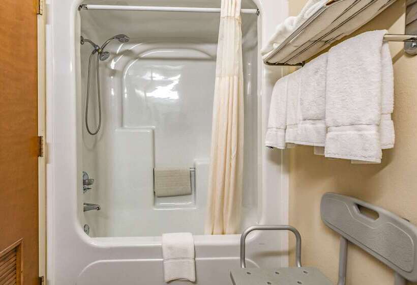 ホテル Quality Inn Schenectady  Albany