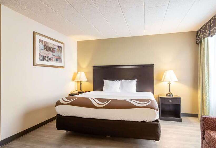 ホテル Quality Inn & Suites