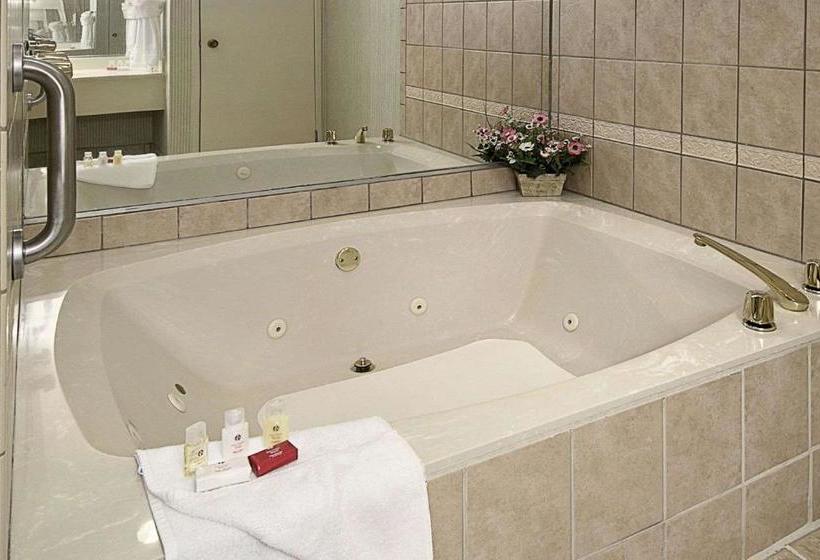 هتل Ramada By Wyndham Asheville Southeast