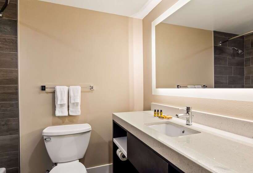 호텔 Best Western Plus Greenville I385 Inn & Suites
