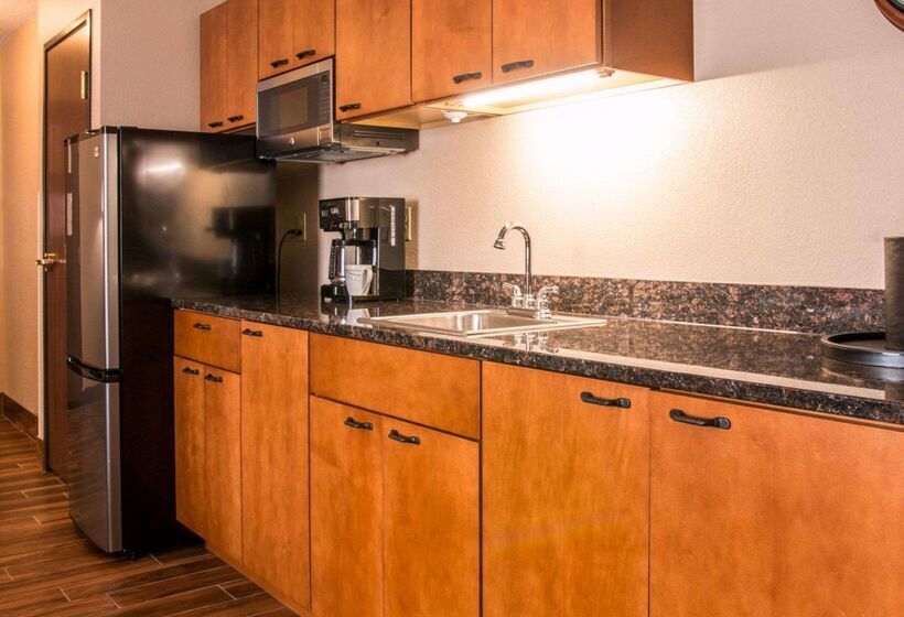 酒店 Comfort Inn & Suites And Conference Center