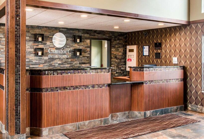 酒店 Comfort Inn & Suites And Conference Center