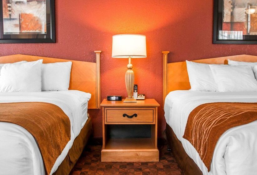 酒店 Comfort Inn & Suites And Conference Center