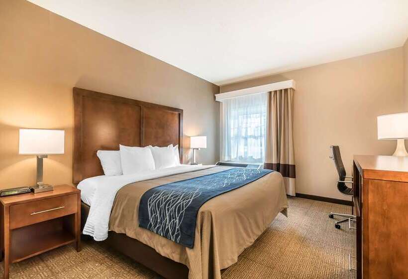 فندق Comfort Inn Concord