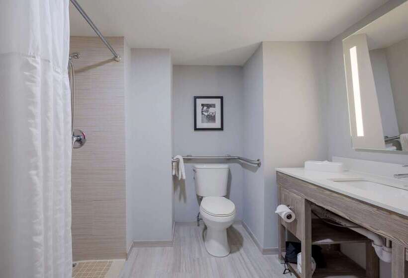 هتل Comfort Inn & Suites Alexandria West