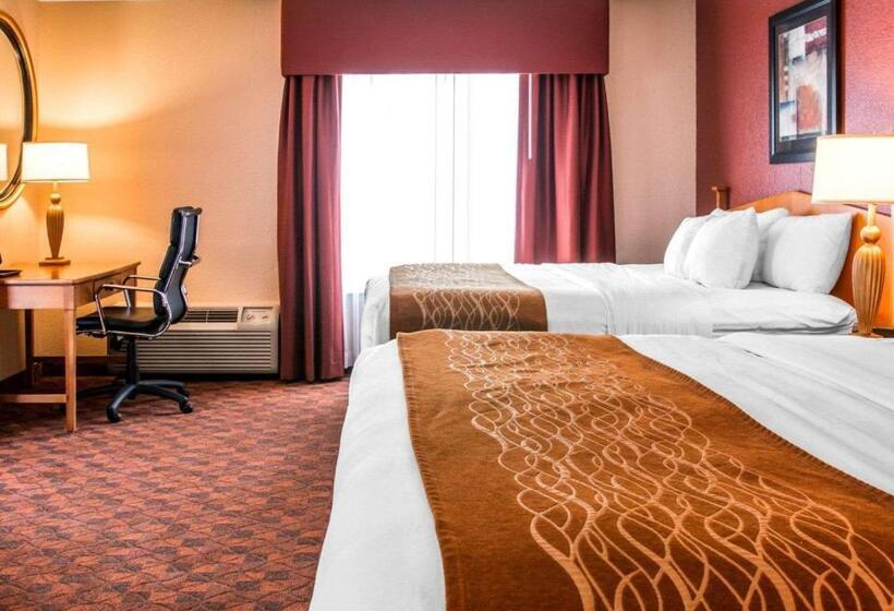 酒店 Comfort Inn & Suites And Conference Center