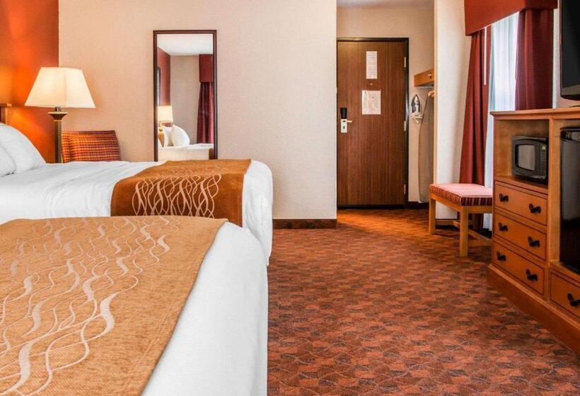 酒店 Comfort Inn & Suites And Conference Center