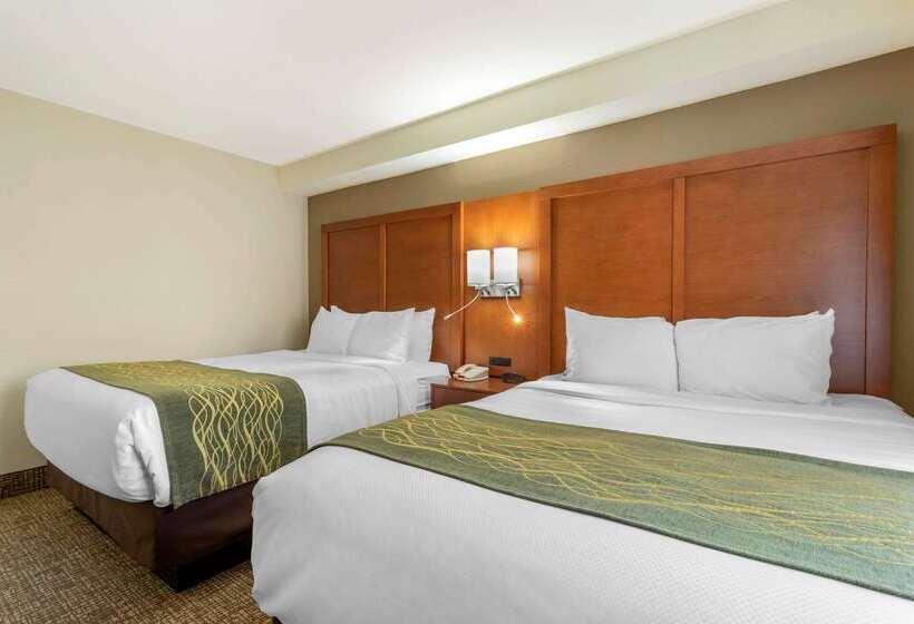 هتل Comfort Inn & Suites  Near Robins Air Force Base Main Gate