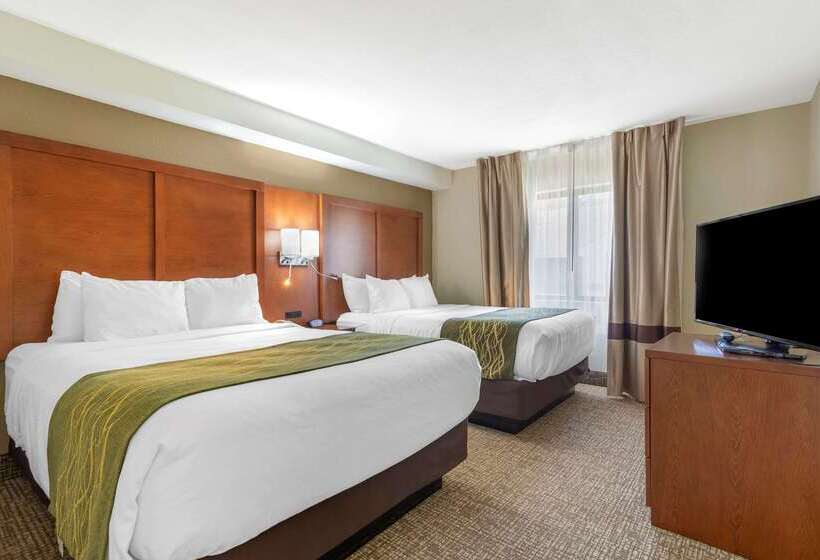 هتل Comfort Inn & Suites  Near Robins Air Force Base Main Gate