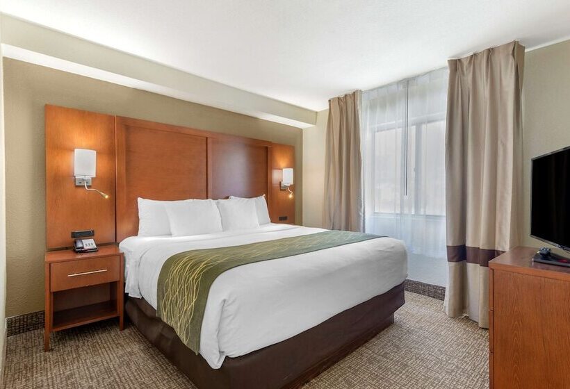 هتل Comfort Inn & Suites  Near Robins Air Force Base Main Gate