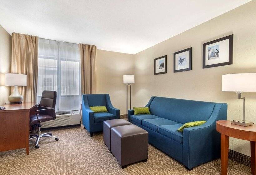 هتل Comfort Inn & Suites  Near Robins Air Force Base Main Gate