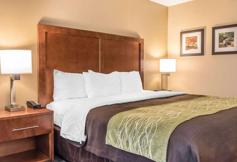 בית מלון כפרי Comfort Inn & Suites Piquanear Troyi75