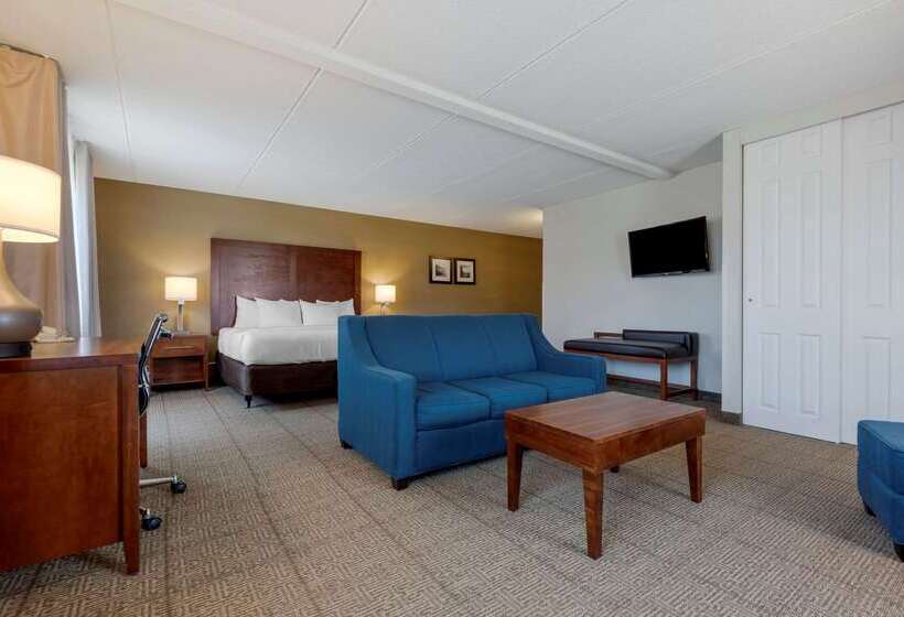 هتل Comfort Inn The Pointe