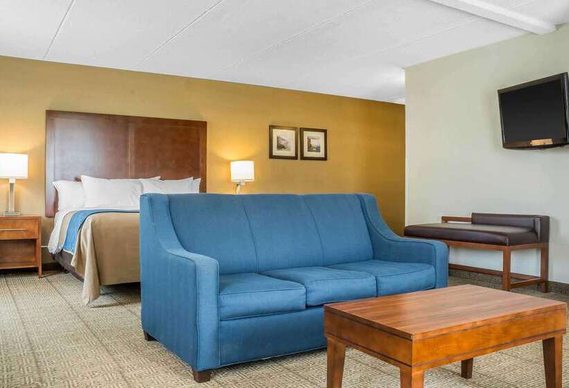 هتل Comfort Inn The Pointe
