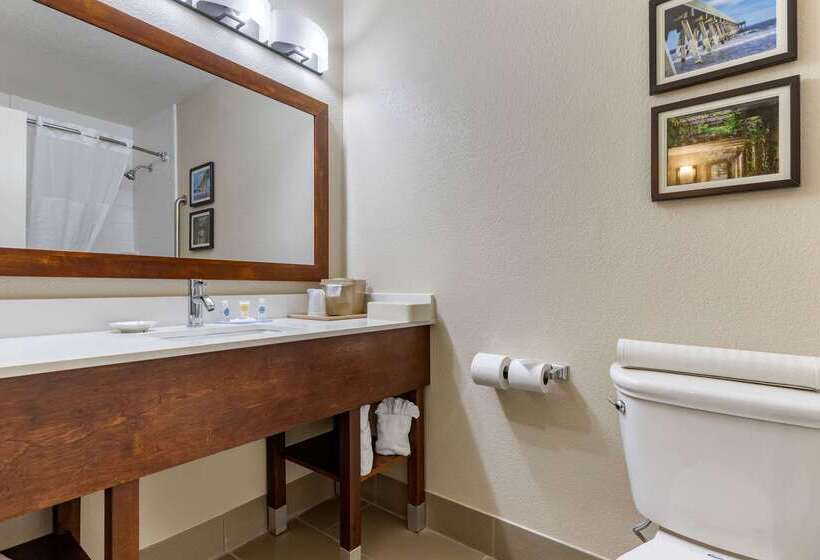 هتل Comfort Inn University