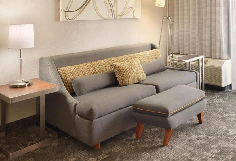 هتل Courtyard By Marriott Atlanta Airport South/sullivan Road
