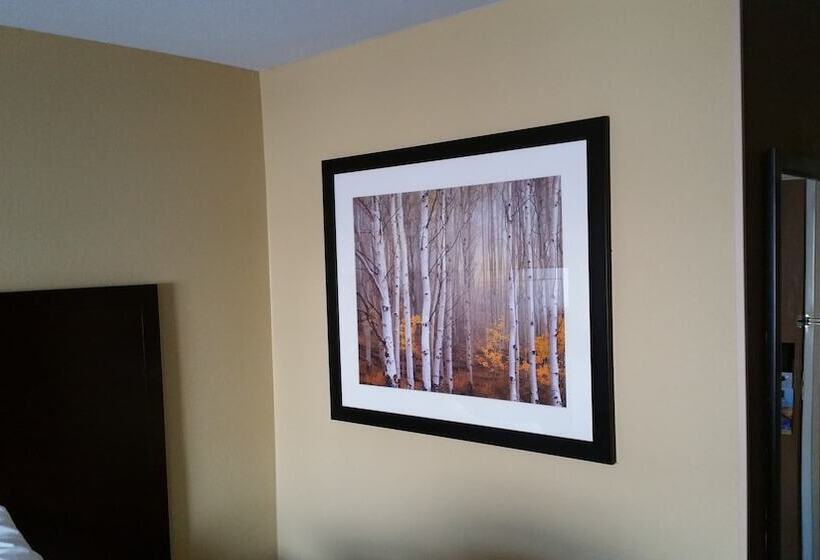 هتل Days Inn & Suites By Wyndham Davenport East