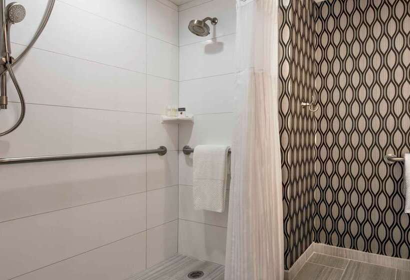 هتل Doubletree By Hilton Chicago Schaumburg