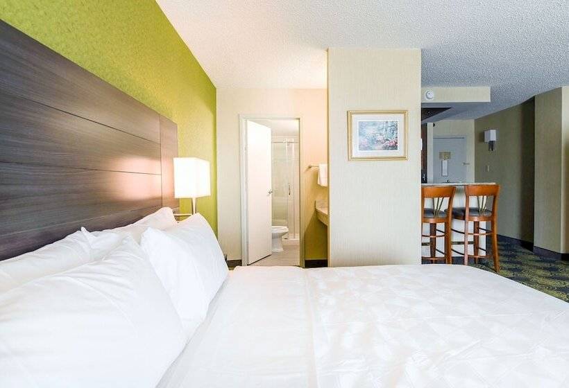 هتل Holiday Inn University Area Charlottesville, An Ihg