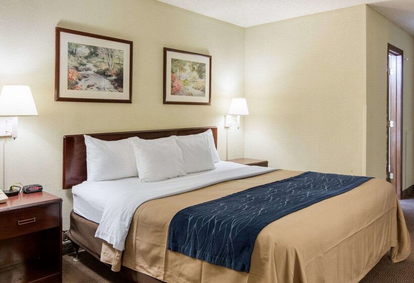 酒店 Quality Inn University Area