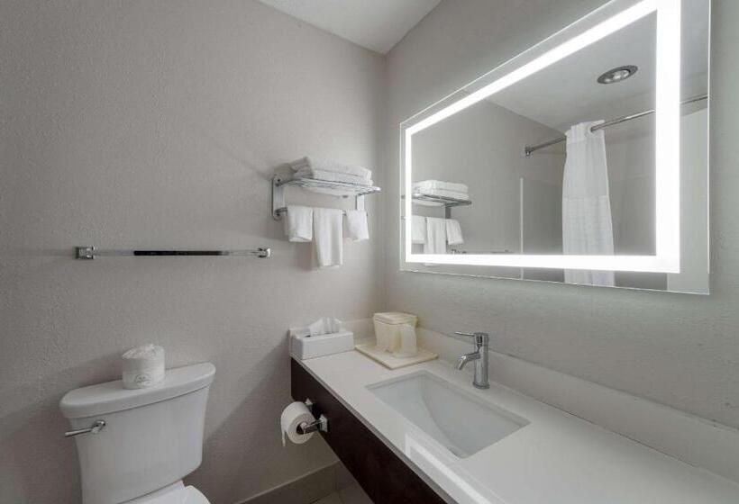 酒店 Quality Inn University Area