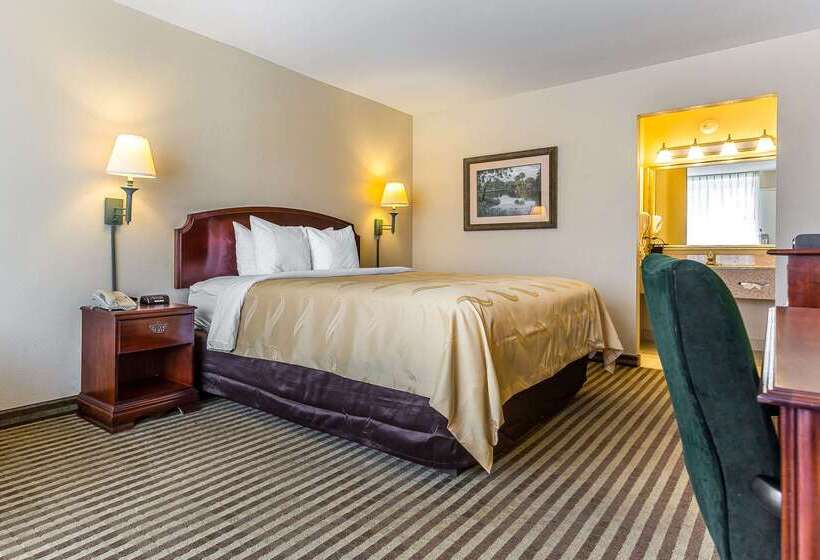 ホテル Quality Inn & Suites