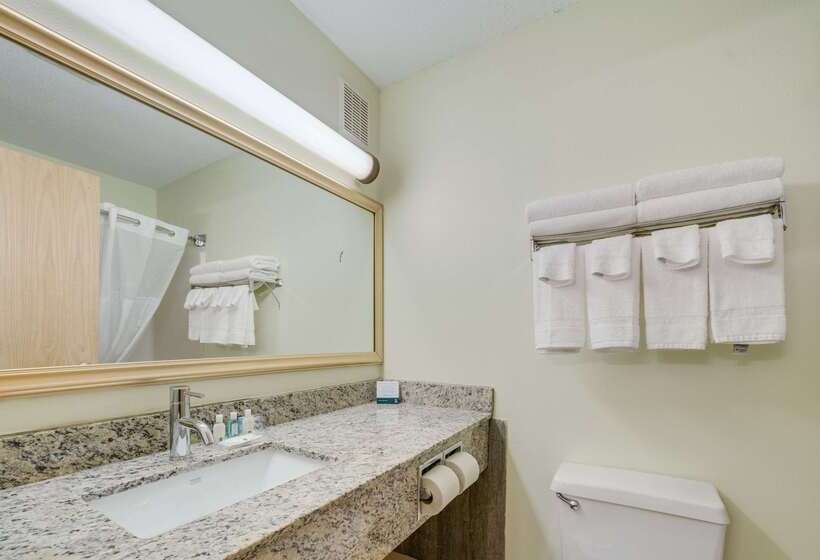 هتل Quality Inn & Suites South