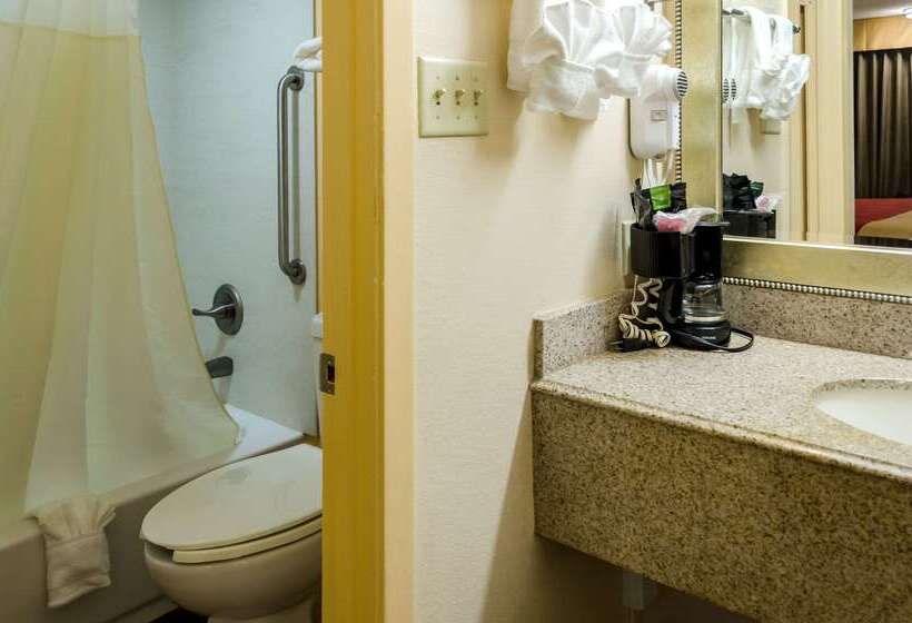 هتل Rodeway Inn