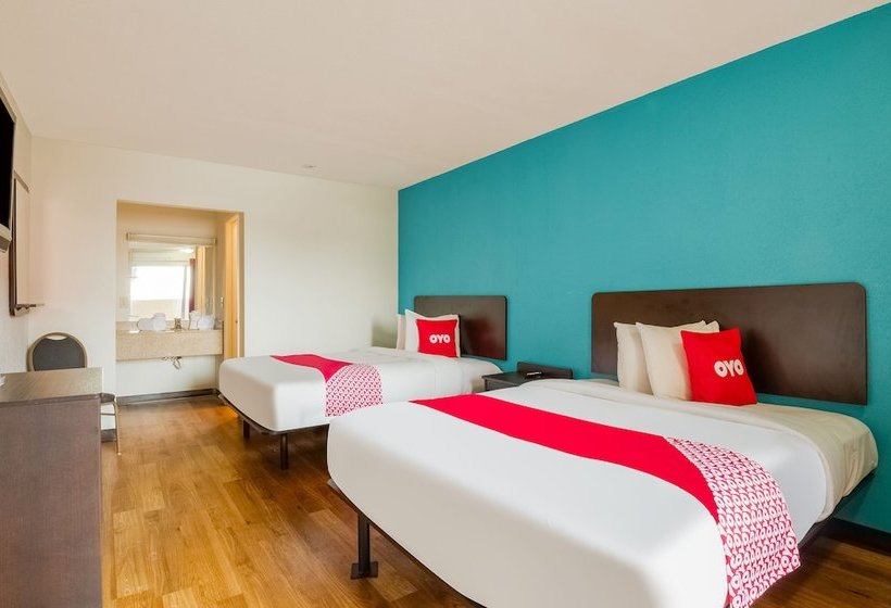 فندق St. Louis Lambert Airport