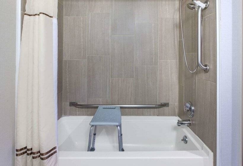 هتل Wingate By Wyndham Detroit Metro Airport