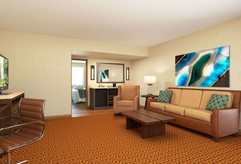 בית מלון כפרי Doubletree Suites By Hilton Tucson   Williams Center