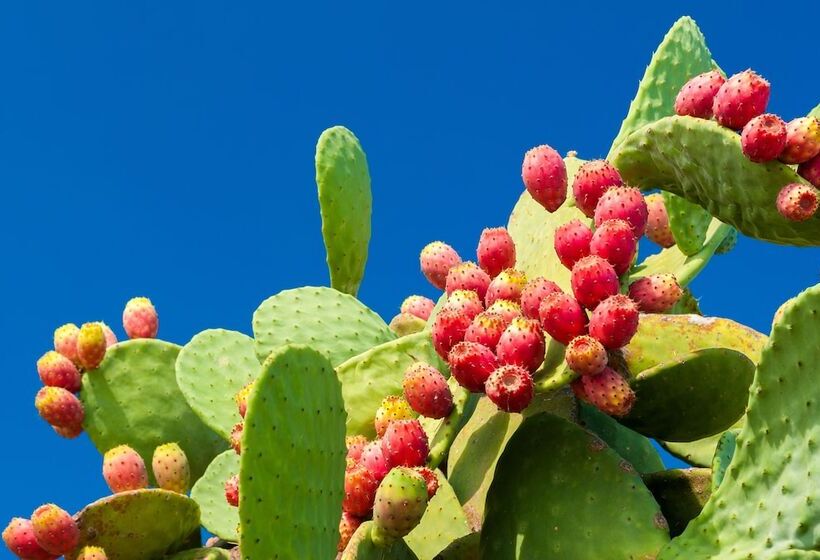 ホテル Doubletree Suites By Hilton Phoenix