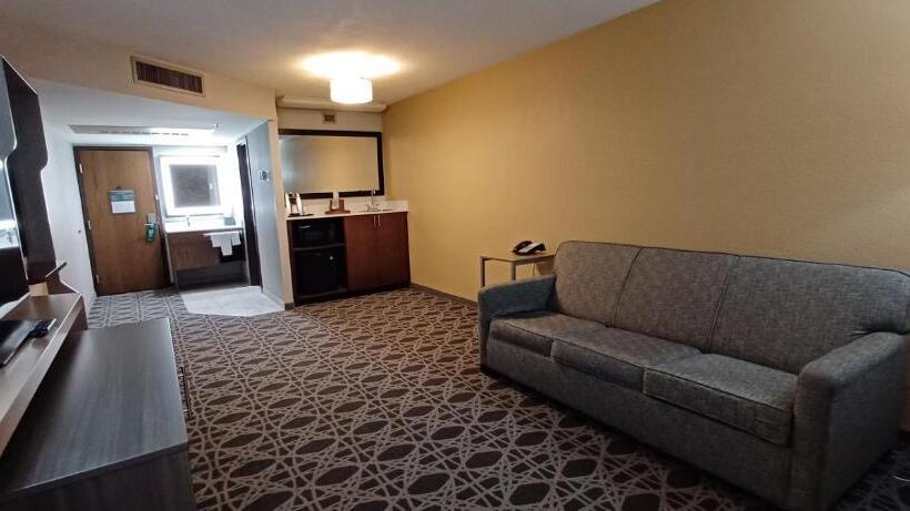 בית מלון כפרי Holiday Inn   Mcallen   Medical Center Area, An Ihg